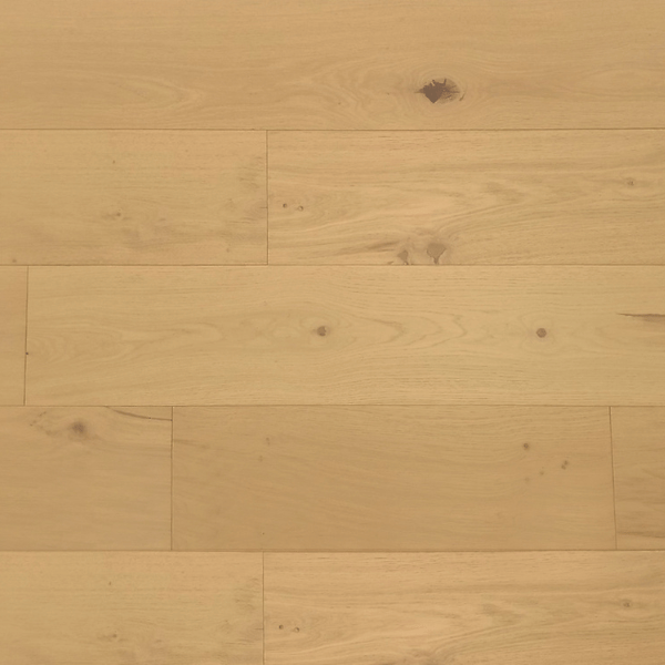 moon frost 384104.jpg