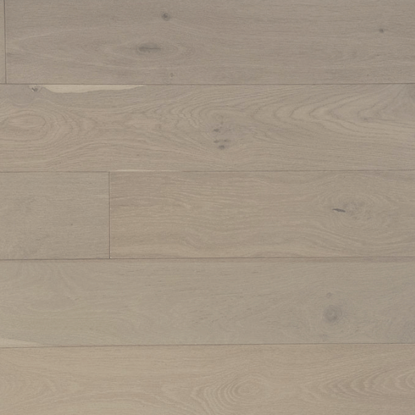 santa monica 323852.jpg